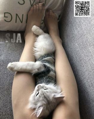 阿罗哈