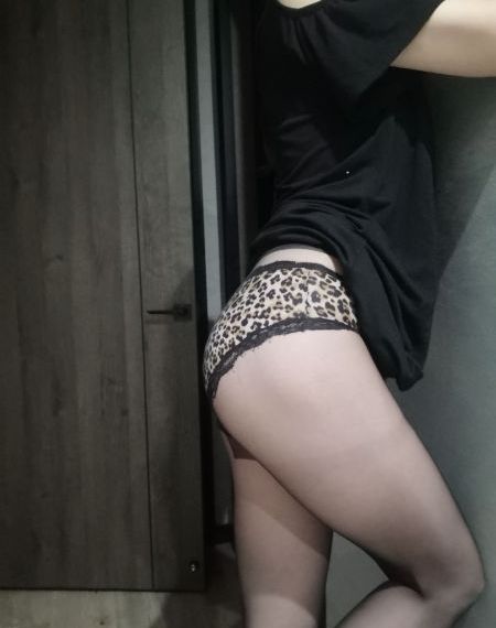 最强大脑第六季