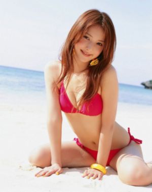 会长是女仆大人观看全集