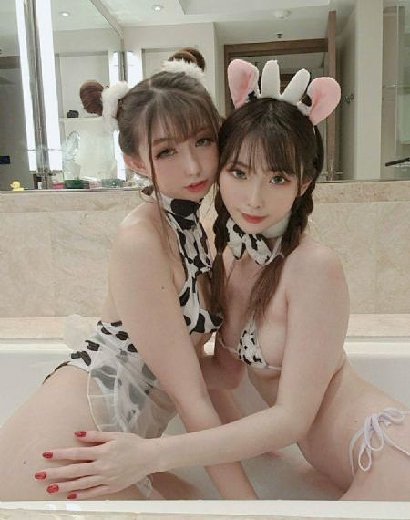 向日葵绽放的夜晚樱花