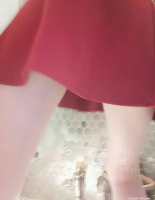 石纪元免费观看第一季