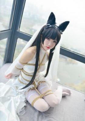 黑帮大佬和我的365天在线
